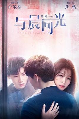 二十不惑第二季电视剧免费观看