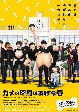 功夫熊猫之师傅的秘密