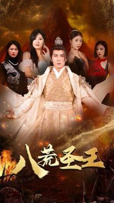 对手一共多少集