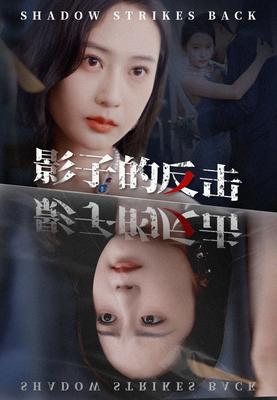 电影上海滩续集