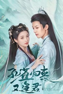 婆婆也是妈电视剧全集