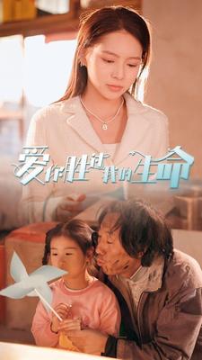 赵丽颖电视剧