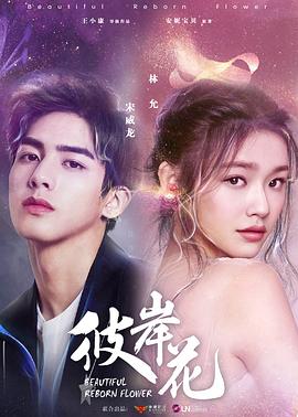 婆婆来了电视剧全集完整版免费观看