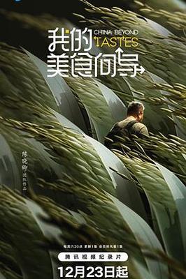 木府风云|下载