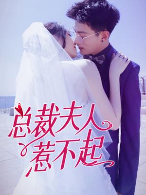 白宝山案件最详细纪实