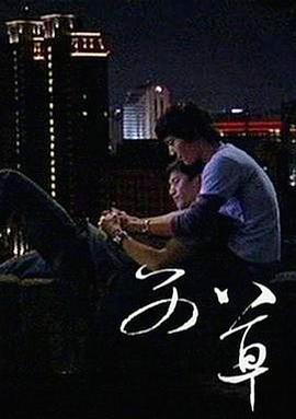 美人心计简介