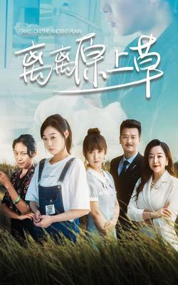 战寒爵洛诗涵小说全文免费阅读