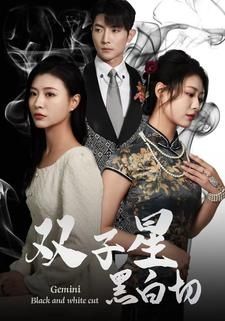 特工神童2国语