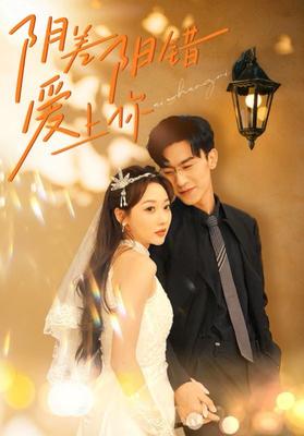 黑帮大佬和我的