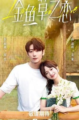 当北京遇上西雅图