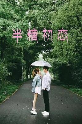 四虎精品在线观看
