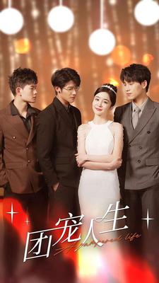 仙踪林八零婚纱摄影工作室