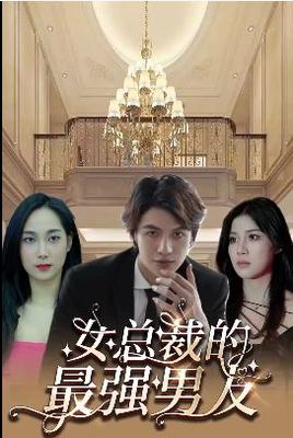 哈佛爱情故事|电视剧