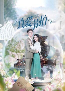 黑三角电视剧