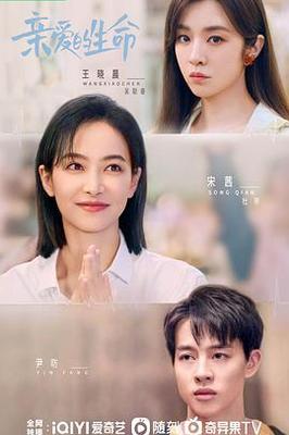 丝袜情趣