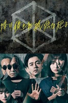 爱情公寓五在线观看免费版