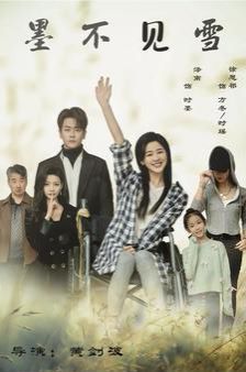 梅花三弄第一部电视剧