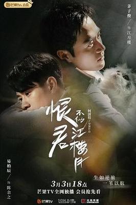 大尺寸的小黄说字多肉霍离