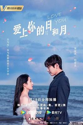 在森林里打扑克的视频