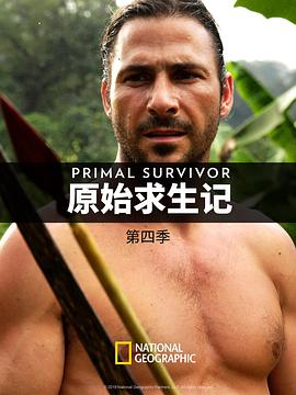 草原之夜原唱